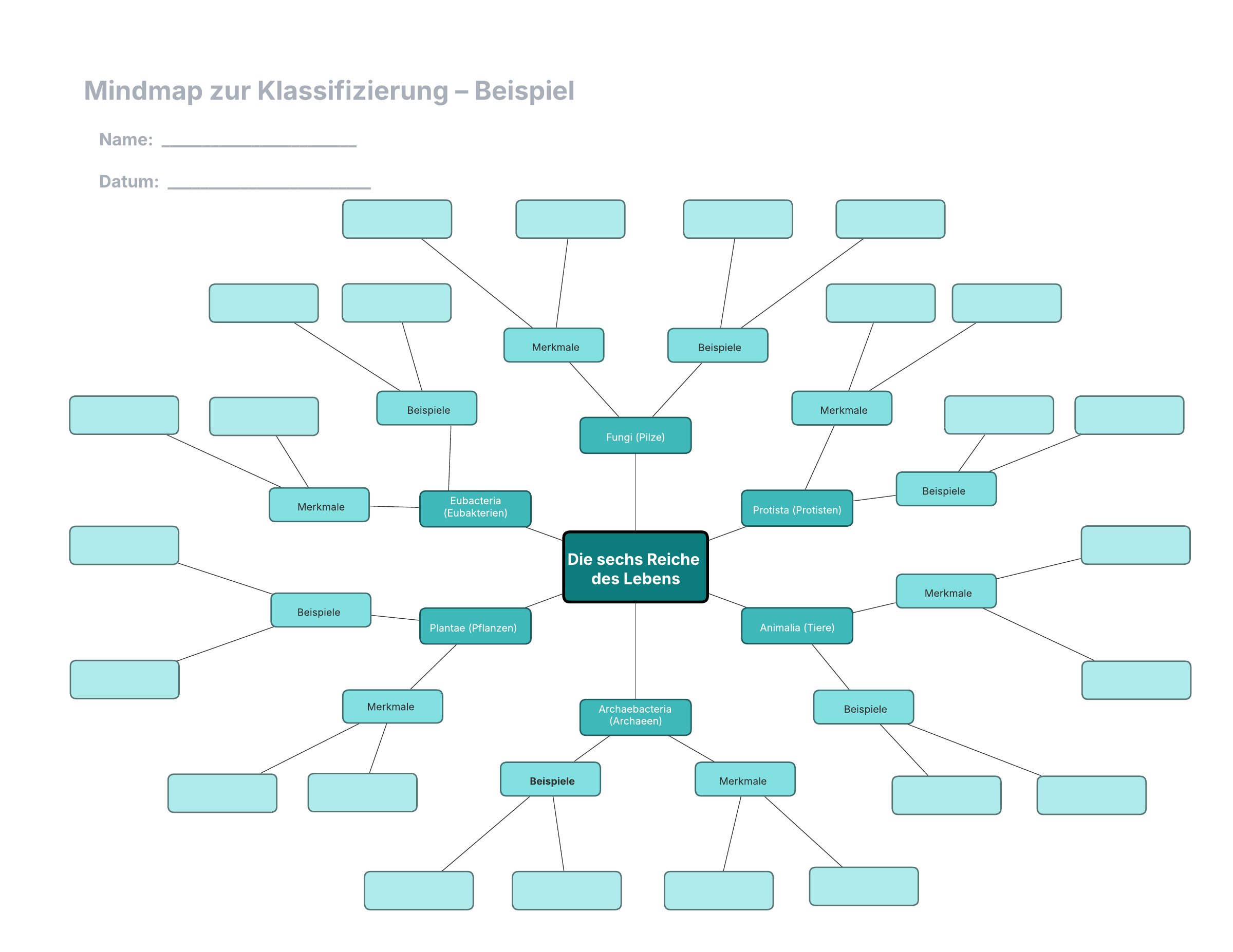 Mit dieser Vorlage für Mindmaps zur Klassifizierung können Sie:

– Auf die Mindmap-Formenbibliothek zugreifen.
– Ihre Gedanken, Ideen und andere Informationen visuell darstellen.
– Neue Ideen entwickeln und Verbindungen herausarbeiten.

Öffnen Sie diese Vorlage und fügen Sie Inhalte hinzu, um diese Mindmap zur Kategorisierung an Ihren Anwendungsfall anzupassen.
