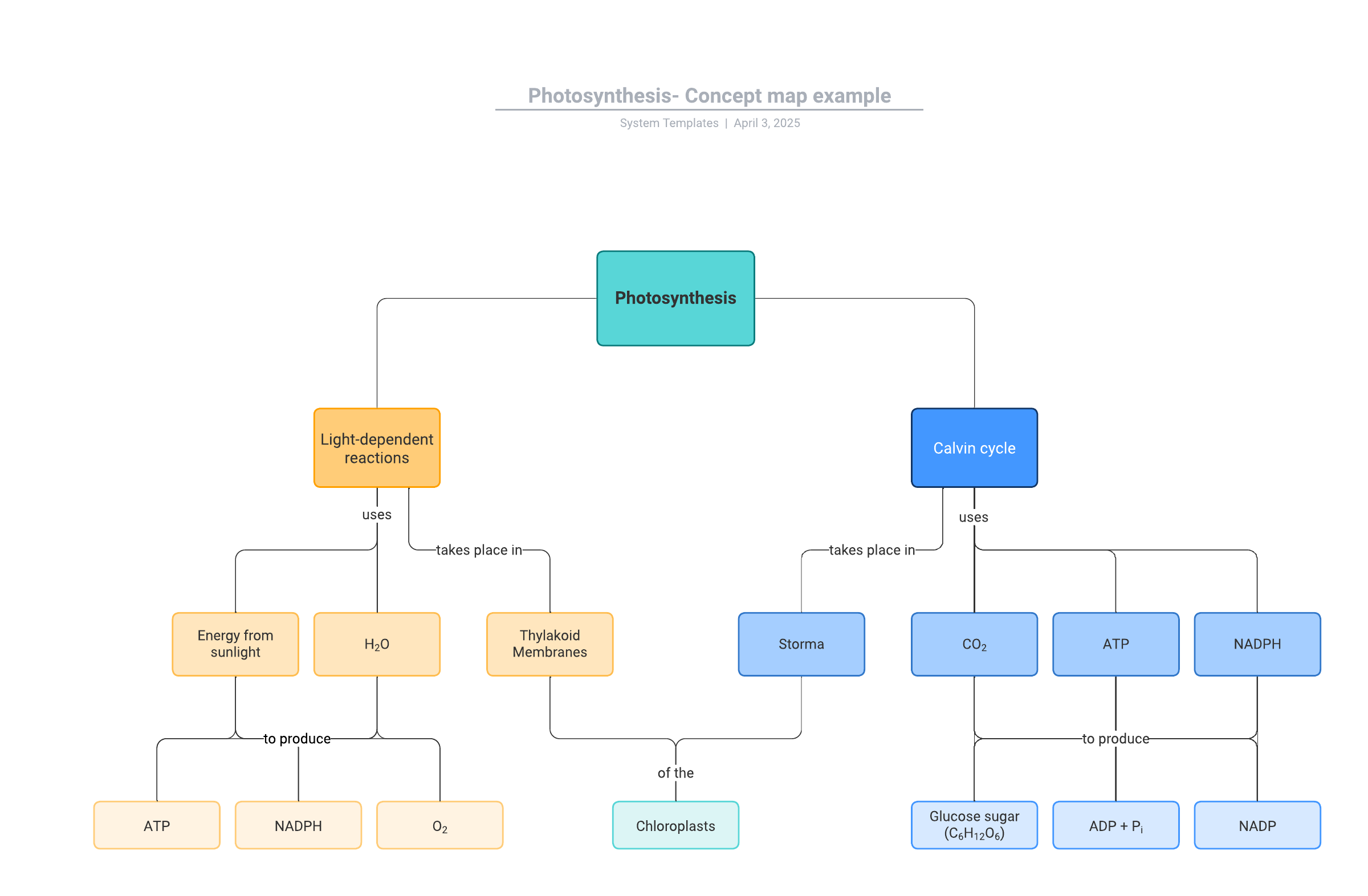 This photosynthesis  concept map template can help you: 

- Visually represent relationships between concepts and ideas related to nursing.
- Use color to differentiate your sub-concepts and ideas.
- Easily collaborate and share your concept map with others.

Open this template to view a detailed example of a photosynthesis concept map that you can customize to your use case.