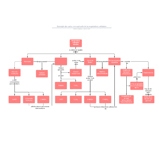 Accéder au modèle Exemple de carte conceptuelle de la respiration cellulaire